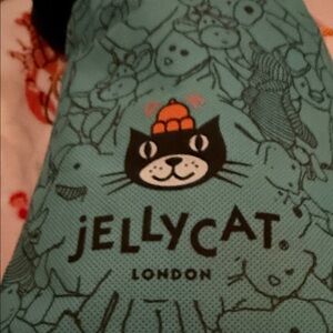Jellycat Turquoise Cat Toy